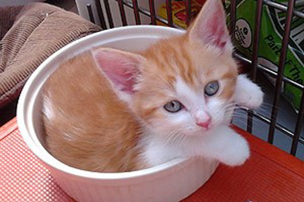Blog post image