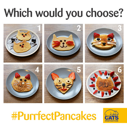 A selection of pancakes decorated like cat faces