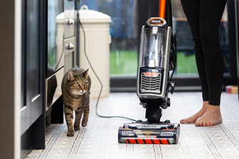 Cats Protection Shark vacuum partnership cat and vacuum in kitchen