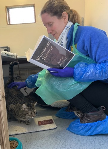 Woman wearing Cats Protection fleece and PPE reading Wuthering Heights to brown tabby cat