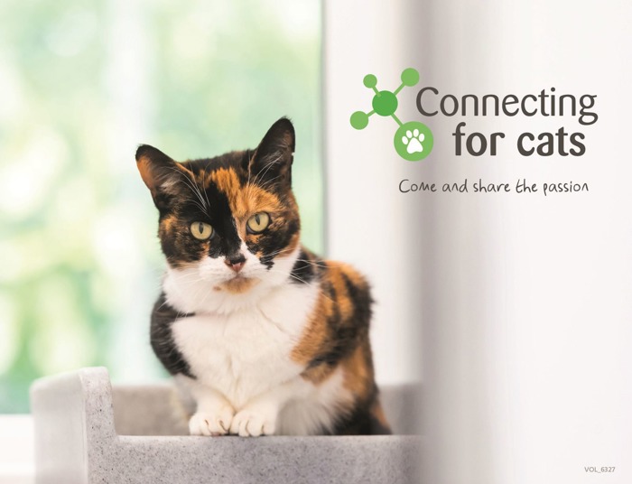 Volunteering Support us Cats Protection