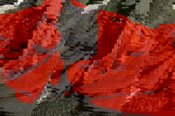 Blog post image