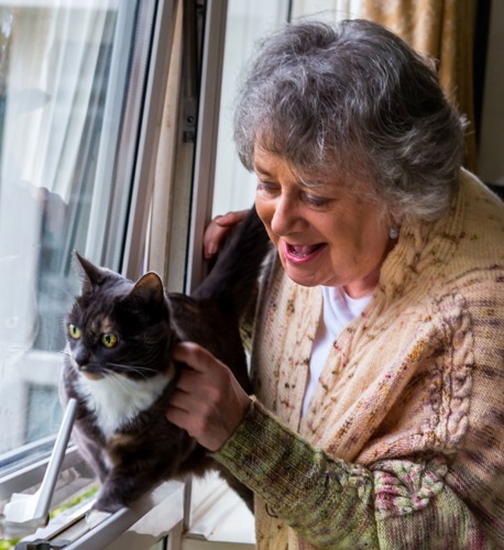 Grey-haired lady in beige cardigan stroking grey-and-white cat on windowsill
