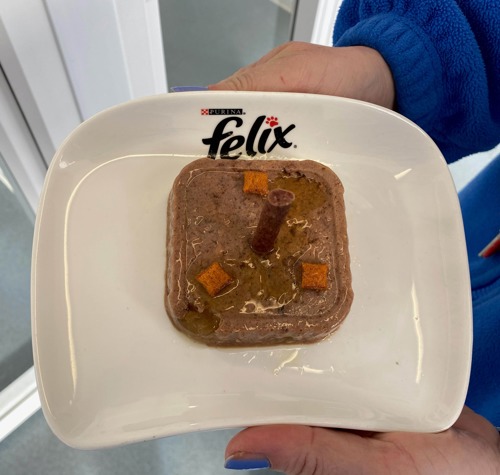a square of cat food in jelly on a white Felix plate