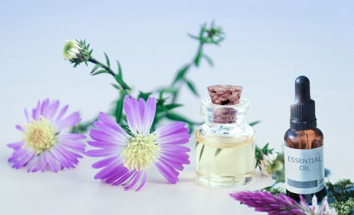 bottles of essential oil next to some purple flowers