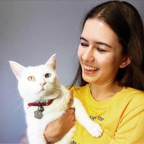 Brunette woman wearing yellow t-shirt and holding white cat with red collar