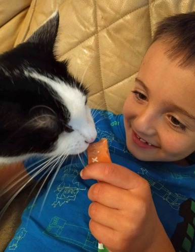Young boy wearing blue t-shirt feeding black-and-white cat a treat