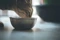 Cat drinking from bowl