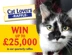 CP raffle web banner 728 x 550.jpg