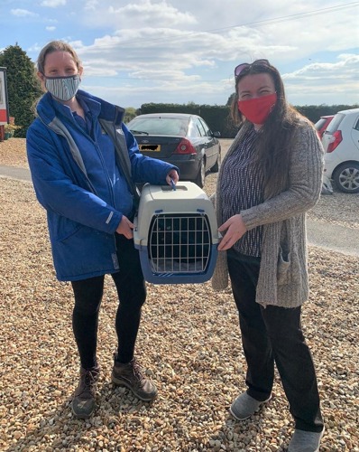Cats Protection worker in blue jacket handing cat in cat carrier to brunette woman outdoors in car park