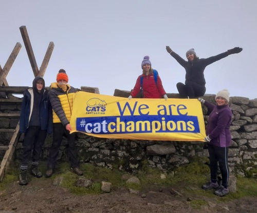 Group of five people standing in front of stone wall holding blue and yellow Cats Protection banner saying 'We are Cat Champions'