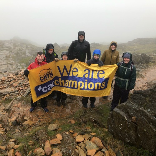 group of people on top of a mountain holding a yellow and blue Cats Protection banner saying We are Cat Champions