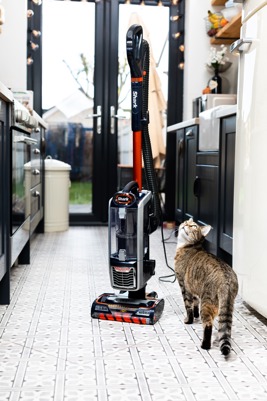 tabby cat looking up at Shark upright vacuum cleaner in a kitchen