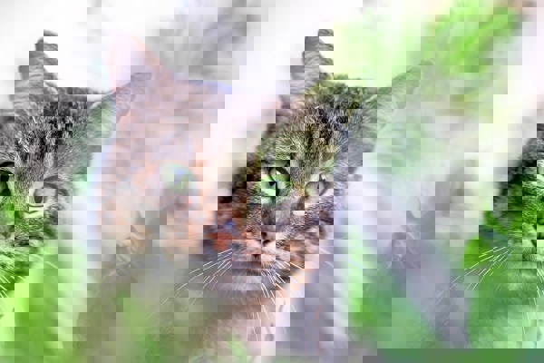 Blog post image