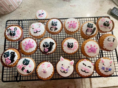 Cupcakes decorated with cats and cat faces on a wire rack