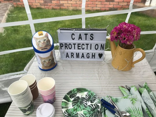 Table featuring Cats Protection donation tin, lightbox with text saying 'Cats Protection Armagh', a vase of flowers and an assortment of paper plates and cups