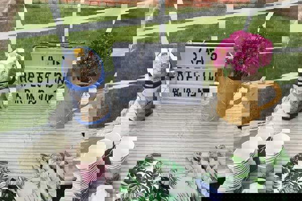 Blog post image