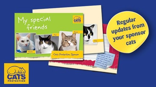 Image of Cat Sponsorship postal mailing