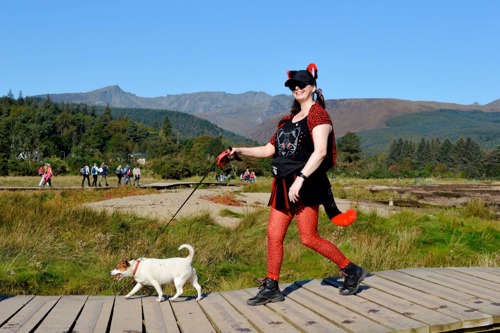 woman wearing black clothing and red tights walking white dog on lead