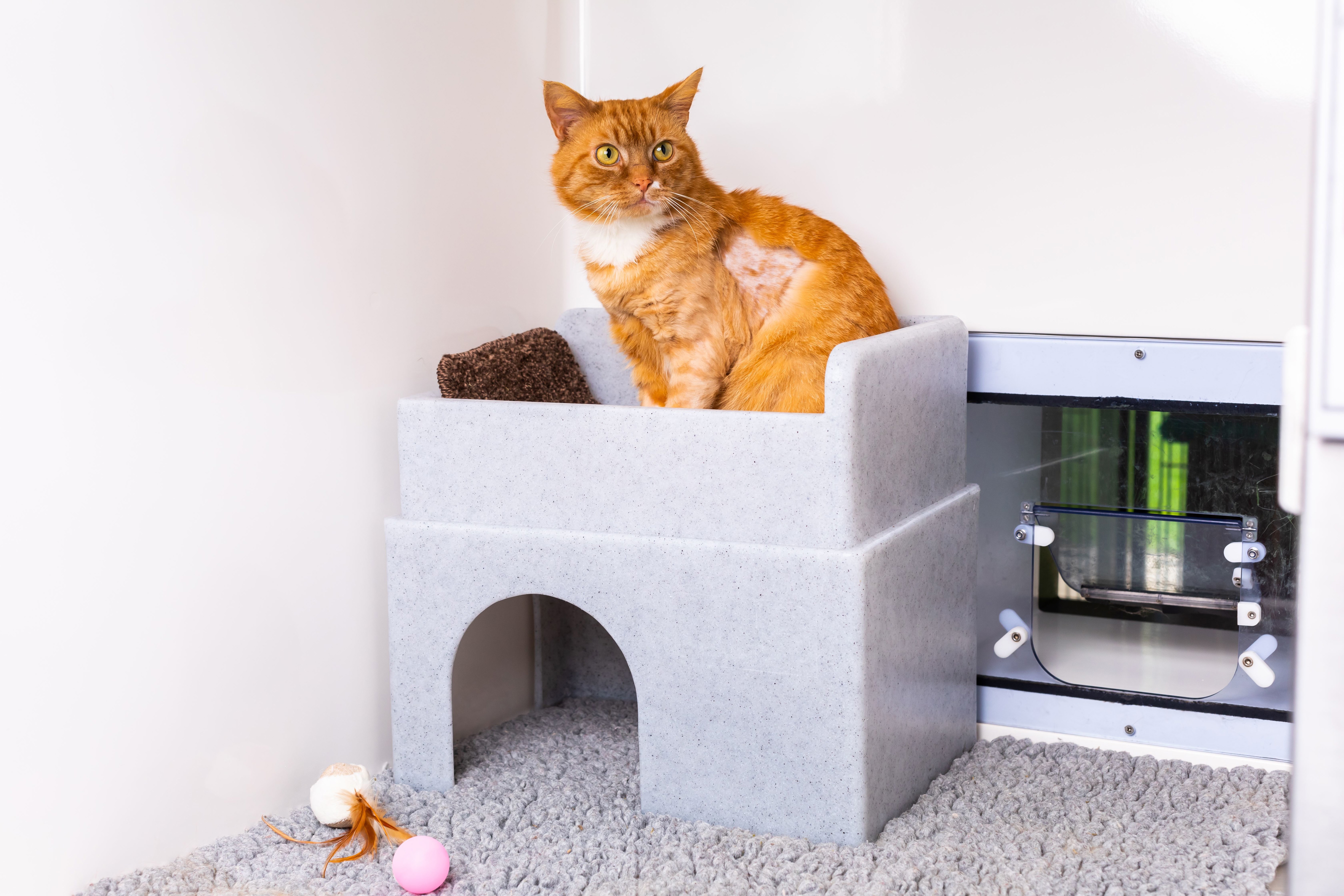 Hide & Sleep® Cat Bed | Cats Protection Shop