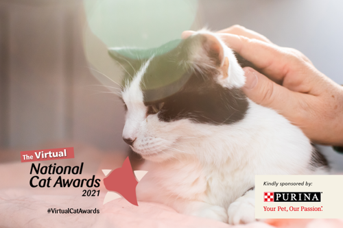 black-and-white cat being stroked by human hand, with The Virtual National Cat Awards and Purina logos