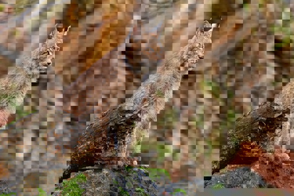 Blog post image