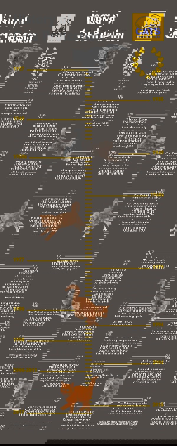 Our history 90 years of cats Cats Protection