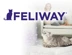 728 X 550 FELIWAY IMAGE.jpg