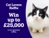 Cat Lovers Raffle Cats Protection