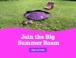 Big Summer Roam 