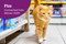 Connected Cats finalists