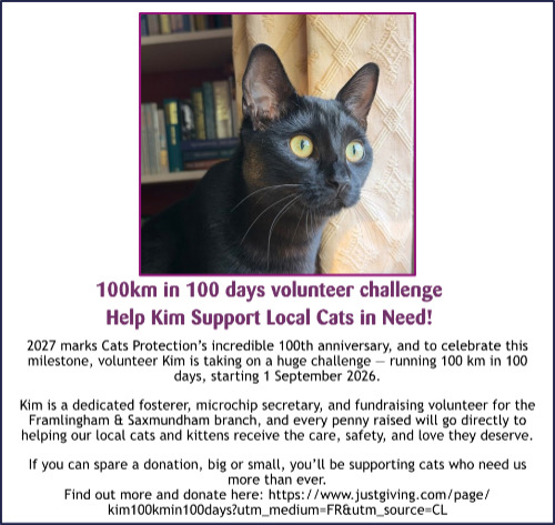 Help Kim reach her goal!
