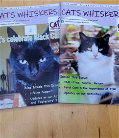 Front covers of two sample issues of Cats Whiskers