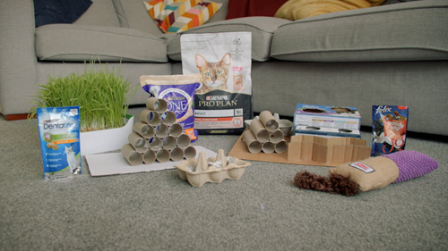 A selection of homemade feeding puzzles for cats, some packets for Purina cat food, some cat grass in a pot and a cat kicker toy
