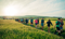 Lake District Ultra Challenge