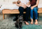 Grey cat sitting on a rug in front of two adults holding a baby, with another cat resting underneath a bench.