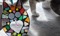 Craft for Cats - Mosaic