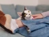 Black-and-white cat resting on a person's lap, with a hand gently touching the cat's head.