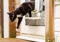 A black-and-white cat walking through a cat flap in a glass door