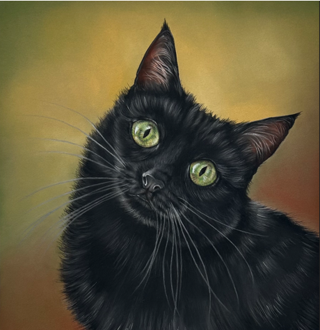 Leeds Cat Centre Art & Sip