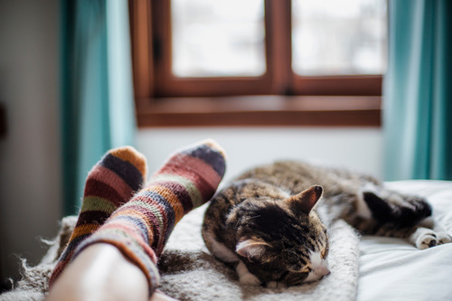 brown-and-white tabby cat sleeping on bed next to human feet wearing cosy socks