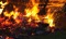 Fire Walk Challenge 2026