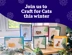 Craft for Cats