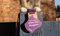 Miles for Moggies