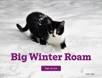 Big Winter Roam 