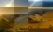 Climb for Cats Pen Y Fan Sunset Walk 2025