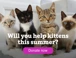 Summer appeal