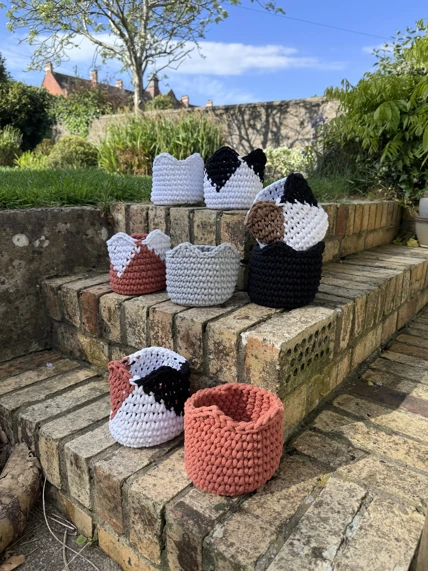 All Cat Baskets Outdoors