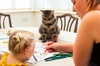 Mum And Daughter Doing Crafts While Cat Sits At Table