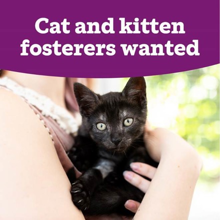 A person holding a cat

Description automatically generated